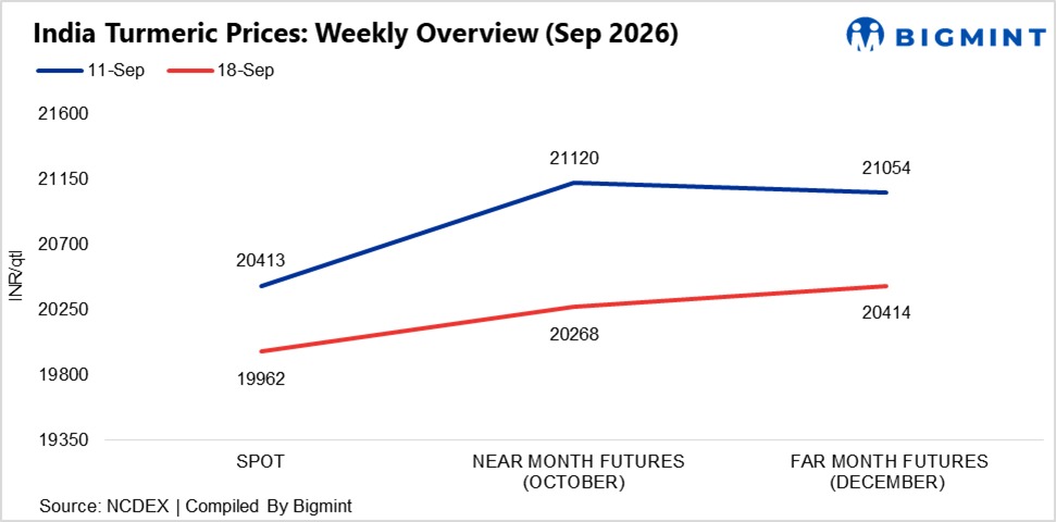 India: Turmeric prices show mixed trend as futures weaken despite lower arrivals