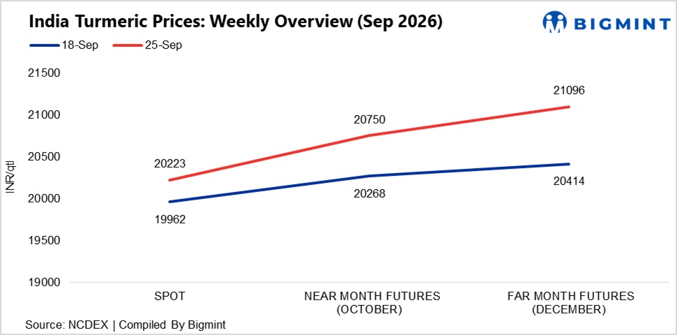 India: Turmeric spot prices show mixed trends, futures strengthen despite higher arrivals
