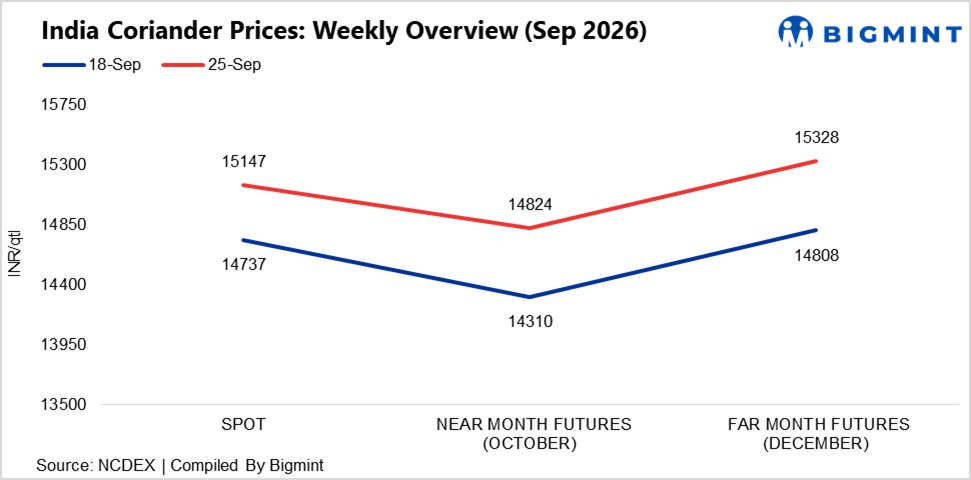 India: Coriander prices strengthen as futures gain despite higher arrivals
