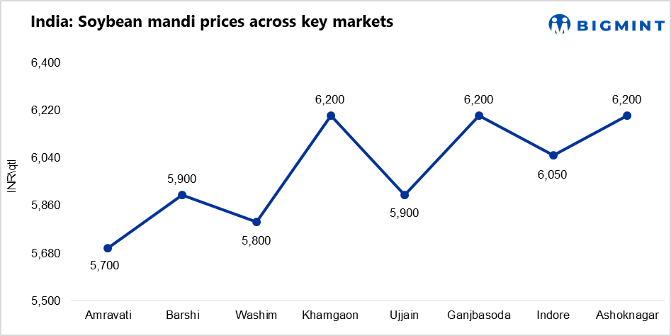 India: Soybean market faces cautious recovery prospects as domestic prices fall, global support strengthens