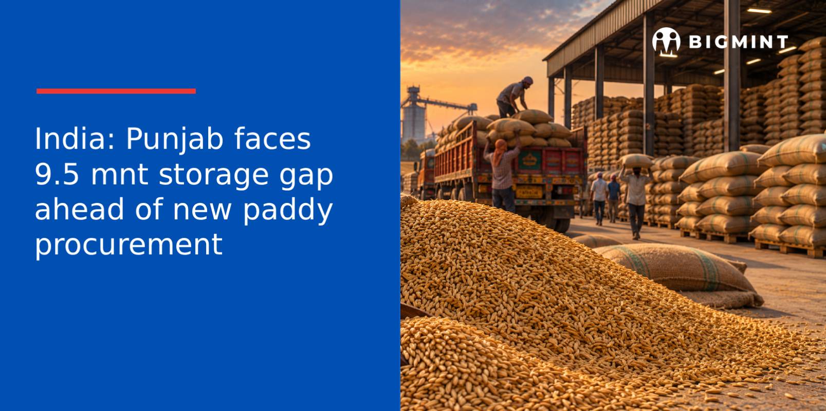 India: Punjab faces 9.5 mnt storage gap ahead of new paddy procurement