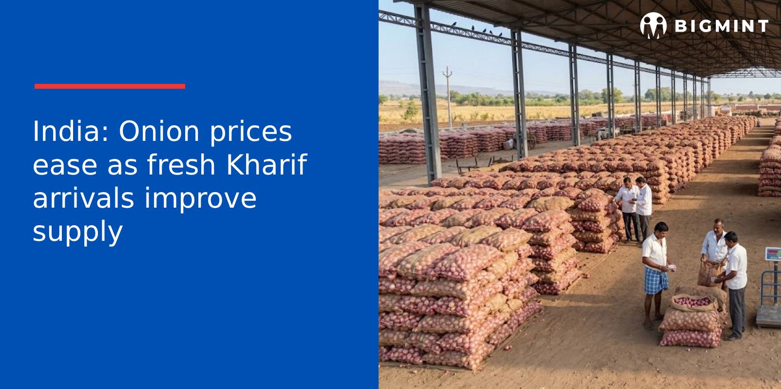 India: Onion prices ease as fresh Kharif arrivals improve supply