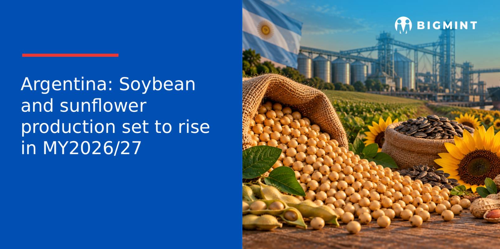 Argentina: Soybean and sunflower production set to rise in MY2026/27